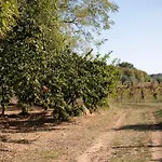 Farm stay Roccia