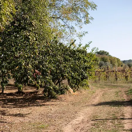 Farma Roccia