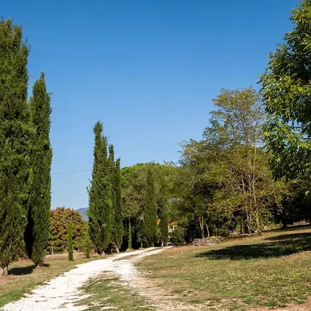 Roccia