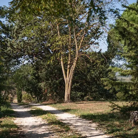 Farma Roccia